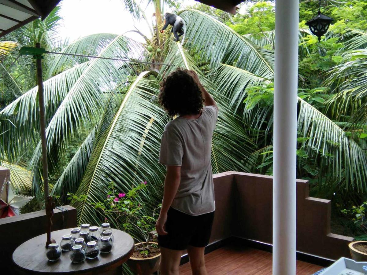 Bed and Breakfast Windy Garden Galle Exterior foto